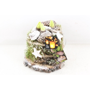 arr4 Hyacint MB - Hout schijf mos LED x5