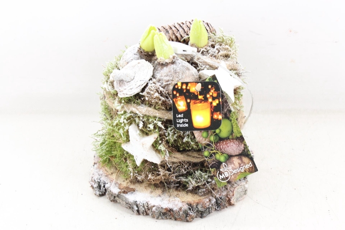 <h4>arr4 Hyacint MB - Hout schijf mos LED x5</h4>