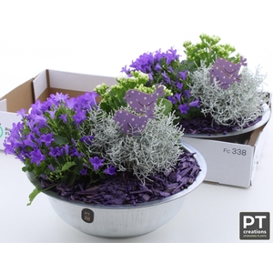 ARR TUINPLANTEN
