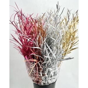 Grevillea Painted Mix Luxe Xmas