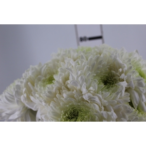 ANASTASIA MAGNUM 080 CM BRANCO