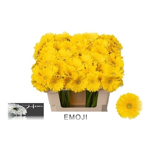 GE MI EMOJI