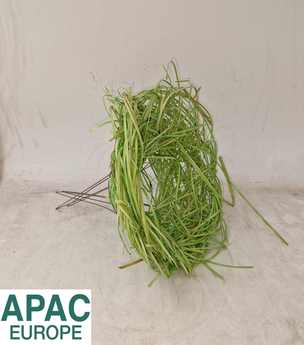 <h4>BOEKETHOUDER H%</h4>