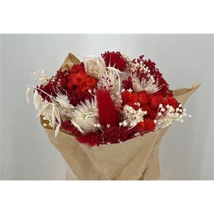 Dr Bqt Bleach Small Red