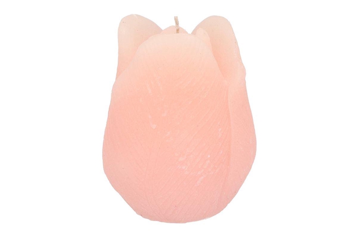 Candle Tulip White Pink10x13cm Nm