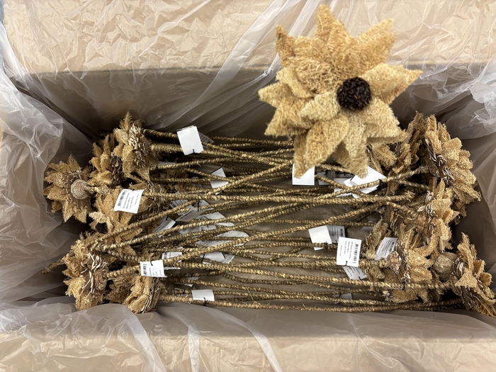 <h4>Stick Dahlia Sunshine Naturel</h4>