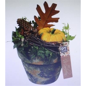 8230 FRUIT T.C. GREEN