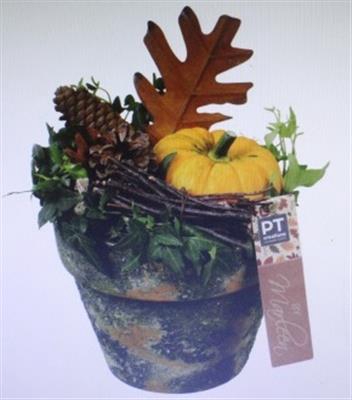 <h4>8230 FRUIT T.C. GREEN</h4>