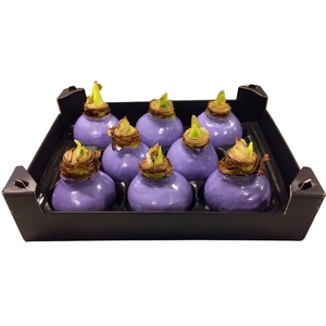 Wax Hipp Lavendel