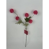 AF Gompy spray x5 L51cm rose