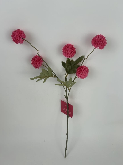 AF Gompy spray x5 L51cm rose