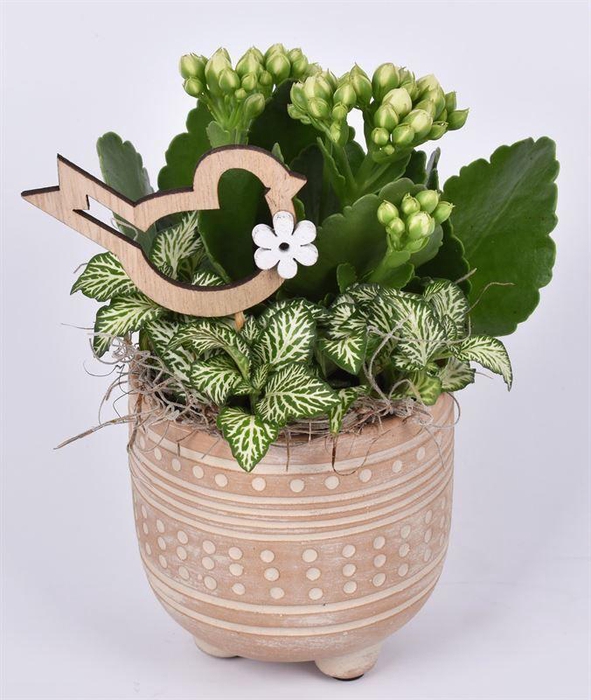 <h4>Cement met motief op pootjes 9cm</h4>