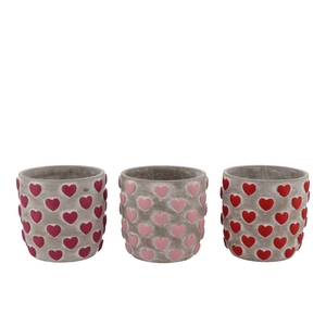 Love Amore Single Pink Pot Ass P/1 14x14x13cm Nm