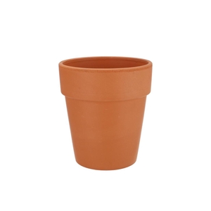 Terracotta Clematis Pot D19xh22cm Nm