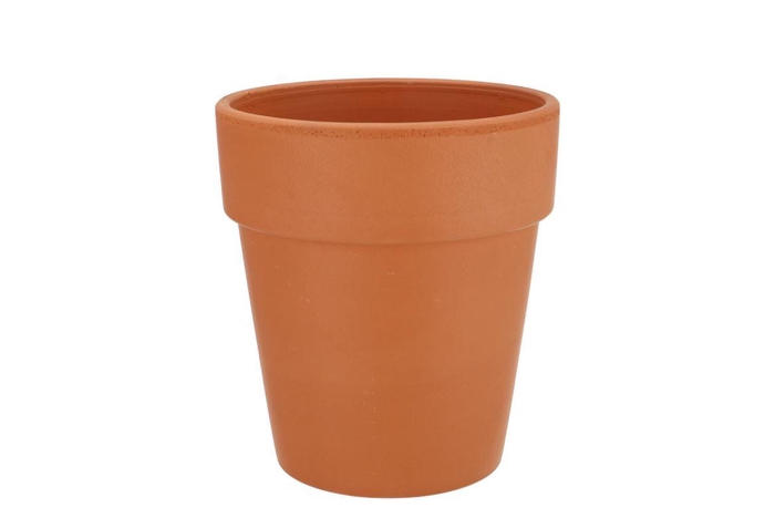 Terracotta Clematis Pot D19xh22cm Nm