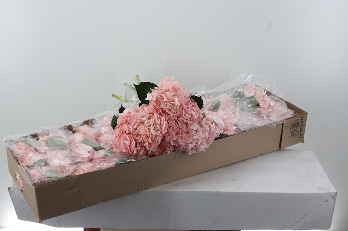 <h4>Hydr Light Pink Select Box</h4>