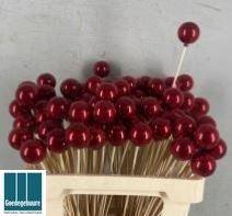 <h4>KERSTBAL OP STOK H%</h4>