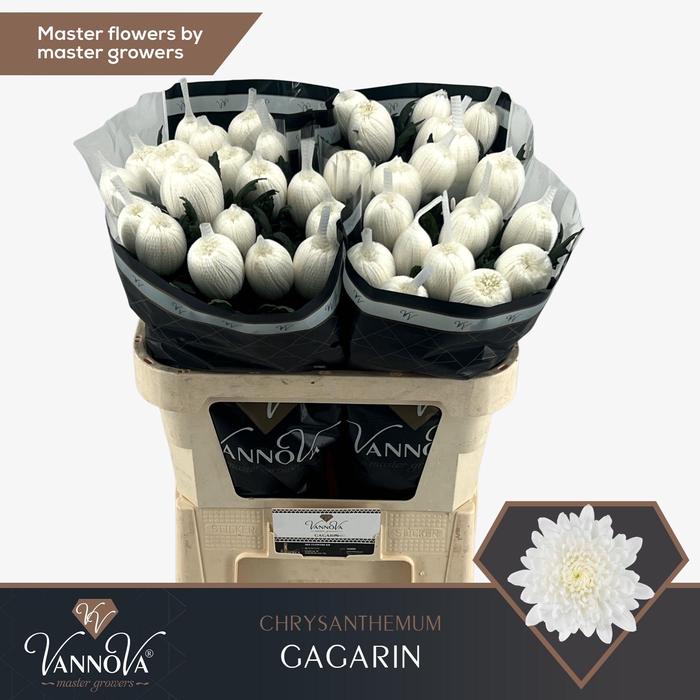 <h4>Chr G Gagarin</h4>