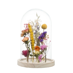 Droogbloemen-Bell Jar 21 cm-Multi