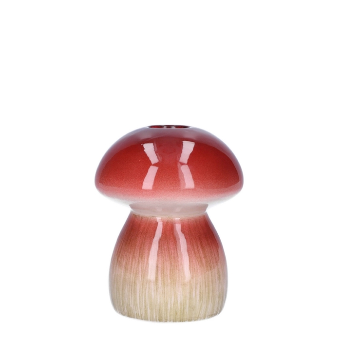 <h4>Vaas Portcini d02/9*12cm</h4>
