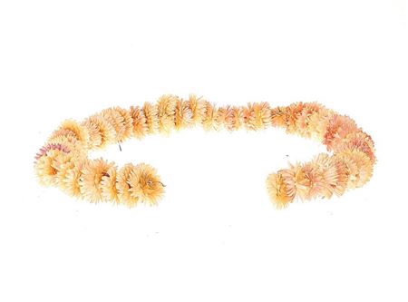 Garland Helichrysum L100