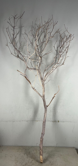 <h4>Manzanita Sandblasted 180cm</h4>