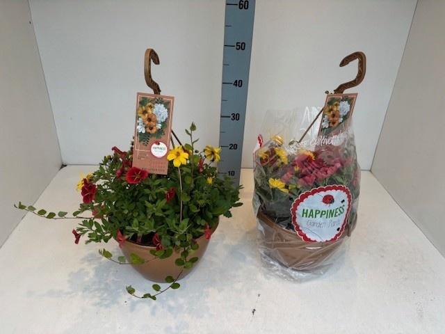 <h4>PERKPL GEM IN POT</h4>