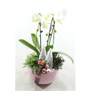 3518 Roze Ker Cascade