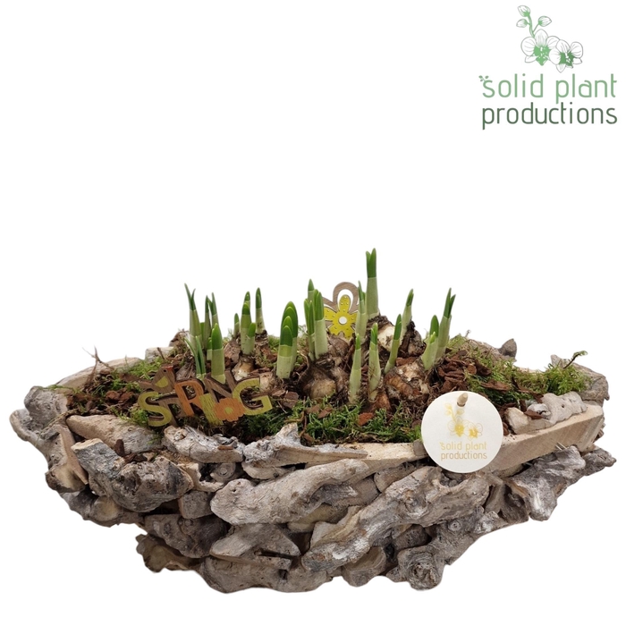 <h4>DBTE012WW Driftwood White Washed Boat Tête-á-Tête</h4>