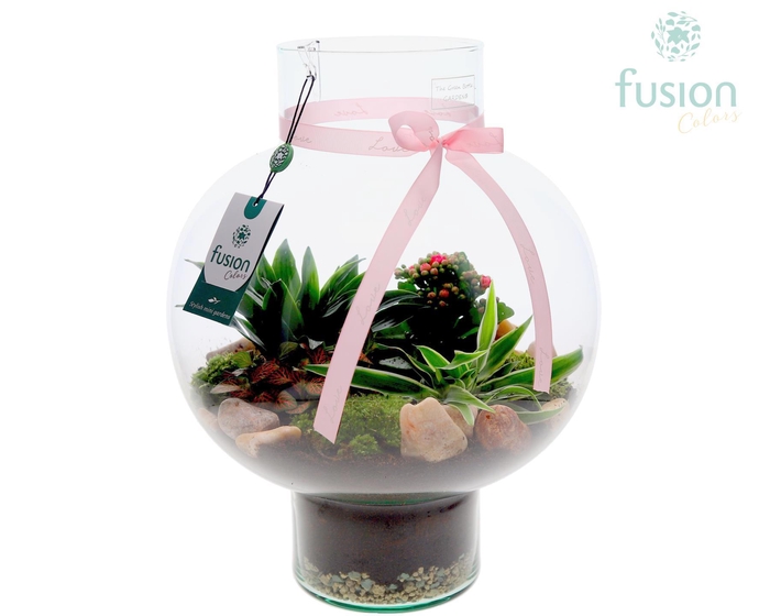 <h4>Green Bottle Laura Large met Moederdag arrangement</h4>