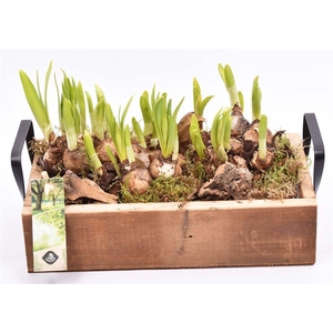 Hout dienblad metal greep 30x15cm