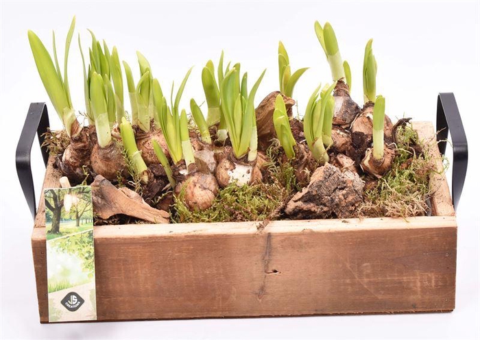 <h4>Hout dienblad metal greep 30x15cm</h4>