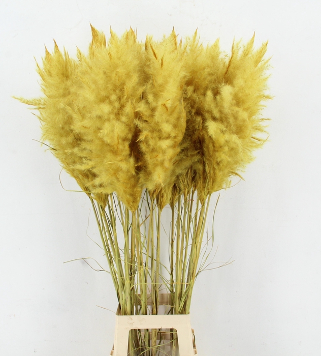 <h4>DROOGBL BEWERKT H%</h4>