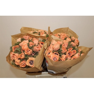 Anem Marianne Powder Orange