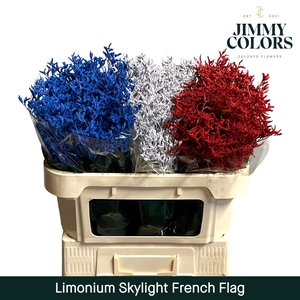 Lim Skylight L80 French Flag