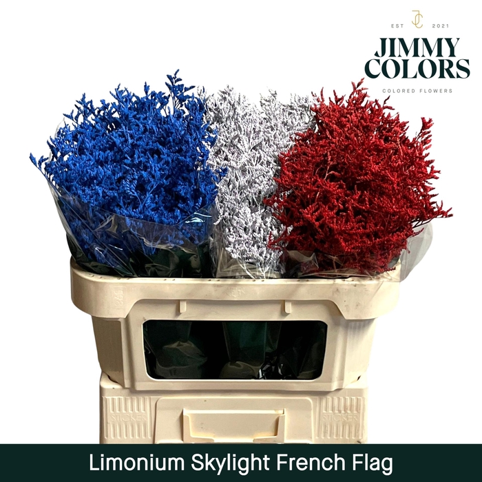 <h4>Limonium Skylight L80 French Flag</h4>