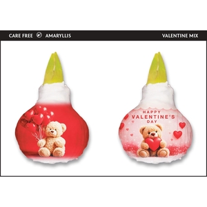 A.BULB of Art - 36cm Valentine Bear Mix