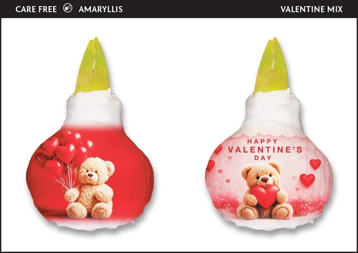 <h4>A.BULB of Art - 36cm Valentine Bear Mix</h4>