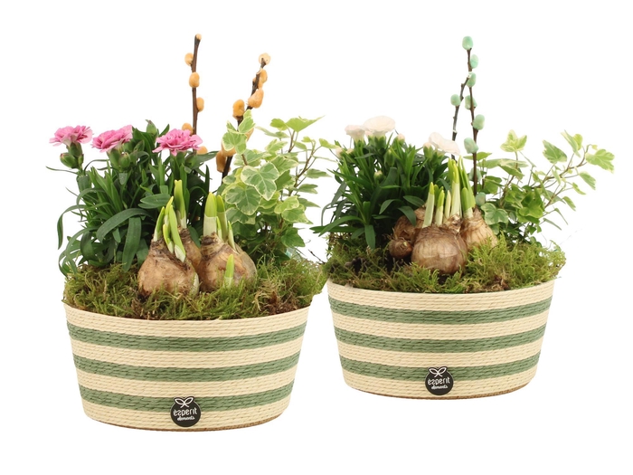 <h4>11698: Outdoor spring arrangement</h4>