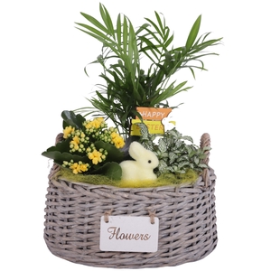 Easter Arr. Indoor Willow Basket Oval Flowersign Ø27cm 3PP