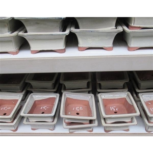 Bonsai pot square, white (18,5x18,5x8)