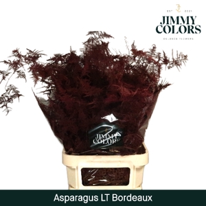 Asp lang getopt  Bordeaux