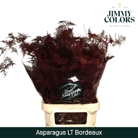<h4>Asp lang getopt  Bordeaux</h4>