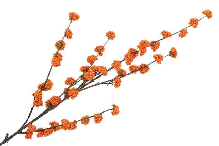 <h4>Silk Berry Callicarpa Orange 130cm</h4>