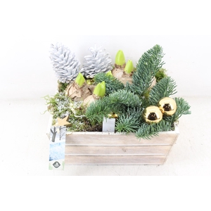 arr4 Hyacint JS - Hout 4kant LED Gold