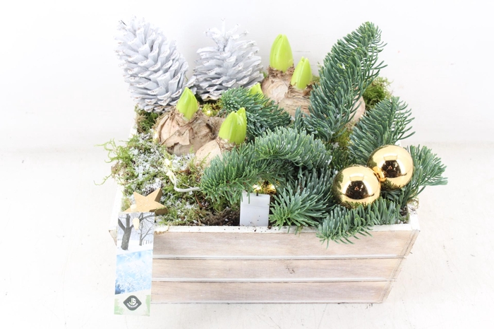 <h4>arr4 Hyacint JS - Hout 4kant LED Gold</h4>