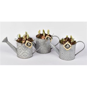 Narcis 21207 Zink Gieter Mix Grijs