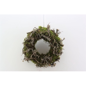 Wr Bonsai Moss 30cm