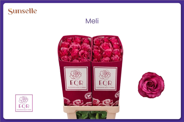 <h4>R GR MELI</h4>