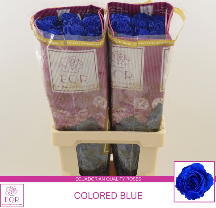 <h4>R GR TINTED BLUE</h4>